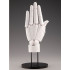 [ARTIST SUPPORT ITEM] 1:1 핸드 모델 L (왼손/화이트)