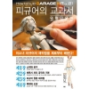 피규어의 교과서 (원형 입문편)