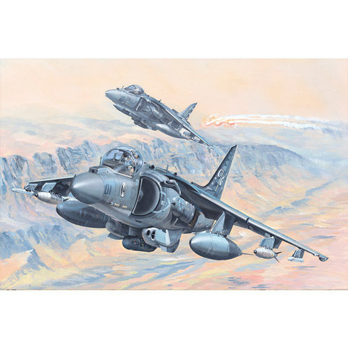 1/18 AV-8B Harrier II