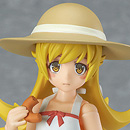 니세모노가타리 - 오시노 시노부