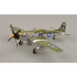 1/48 P-51D 79 FS