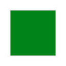 026 Daytona Green (유광)