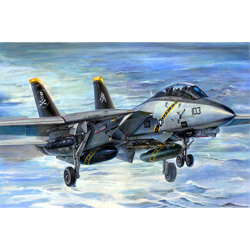 1/32 F-14B Tomcat