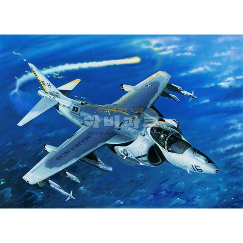1/32 AV-8B Night Attack Harrier II