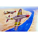 1/48 WESTLAN Wyvern S.4