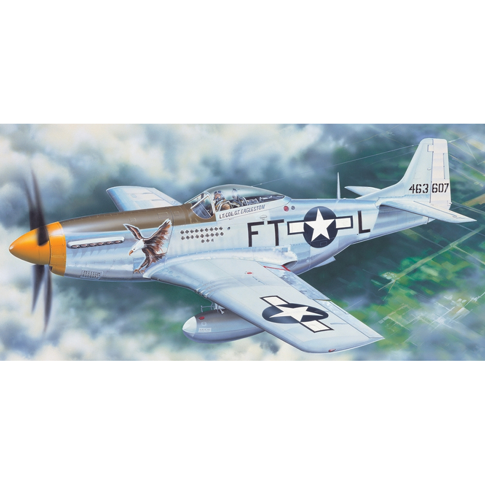 1/24 미 공군 P-51D 머스탱 전투기 - 1/24 P-51D MUSTANG
